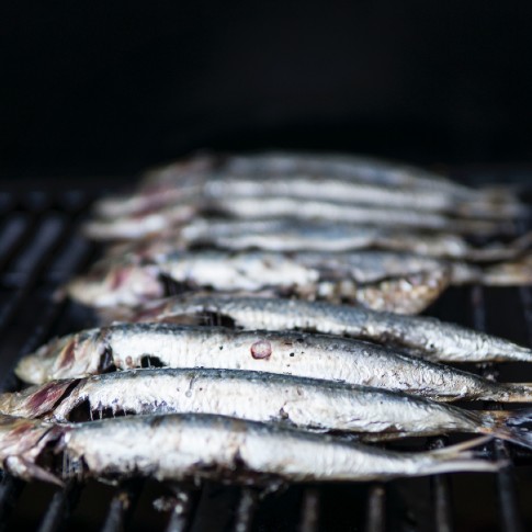Anchovies on grill