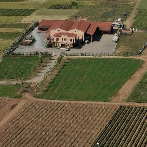 Aerial view of Alpha Estate winery and the surrounding vineyards
