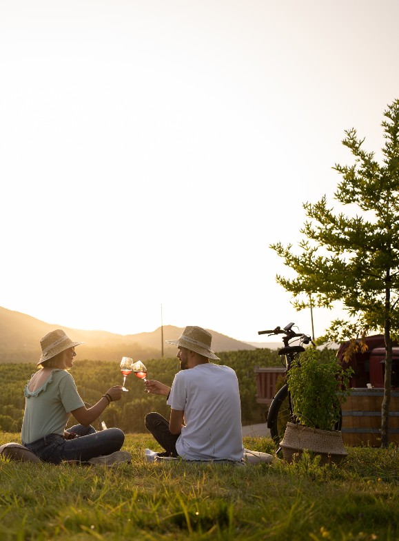 Two people on the load drinking wine by the vineyard
