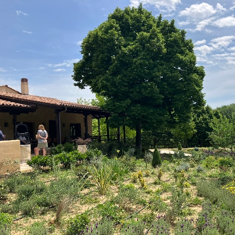 Winery building amid the forest