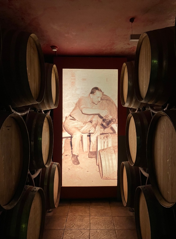 Oak wine barrels in Katogi Averoff winery with an old photo projected on the wall