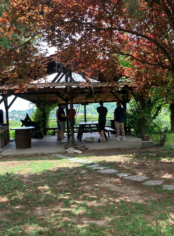 Group of wine tourists, under the gazebo of the winery