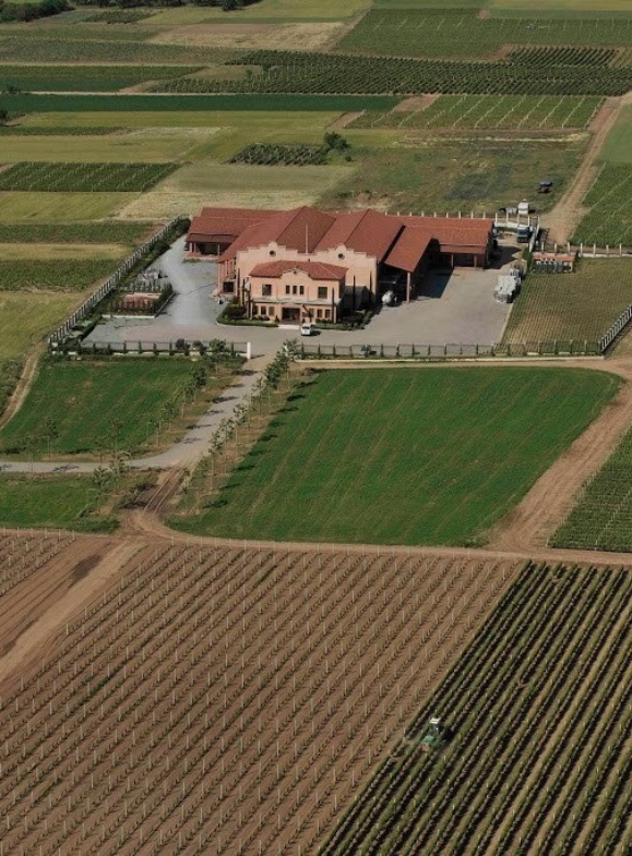 Alpha Estate from a drone