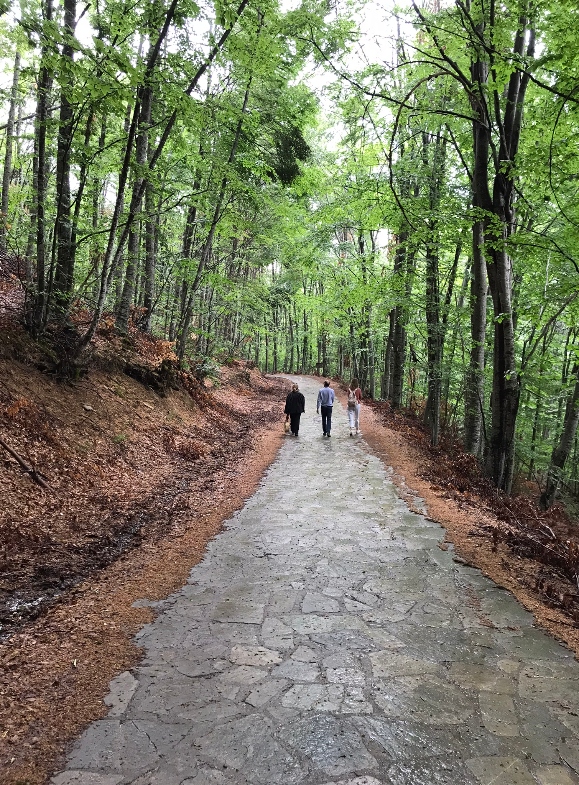 The path amid the oak forest that leads to Arctouros bear sanctuary 