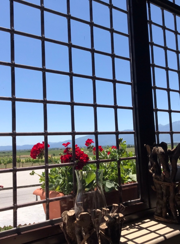 View of mount pangeon from inside the winery