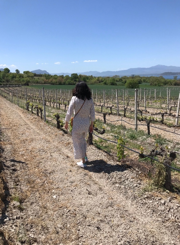 A woman is walking between the vines