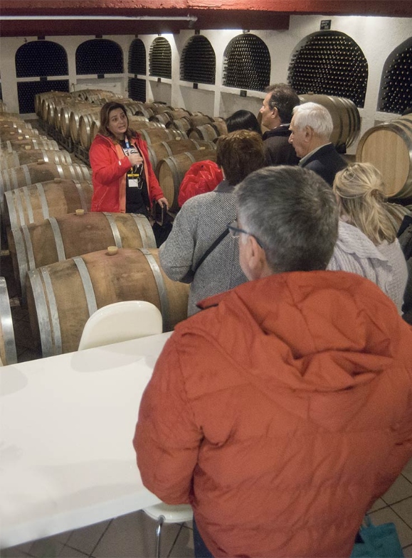 Ktima Kokotou -photo 1