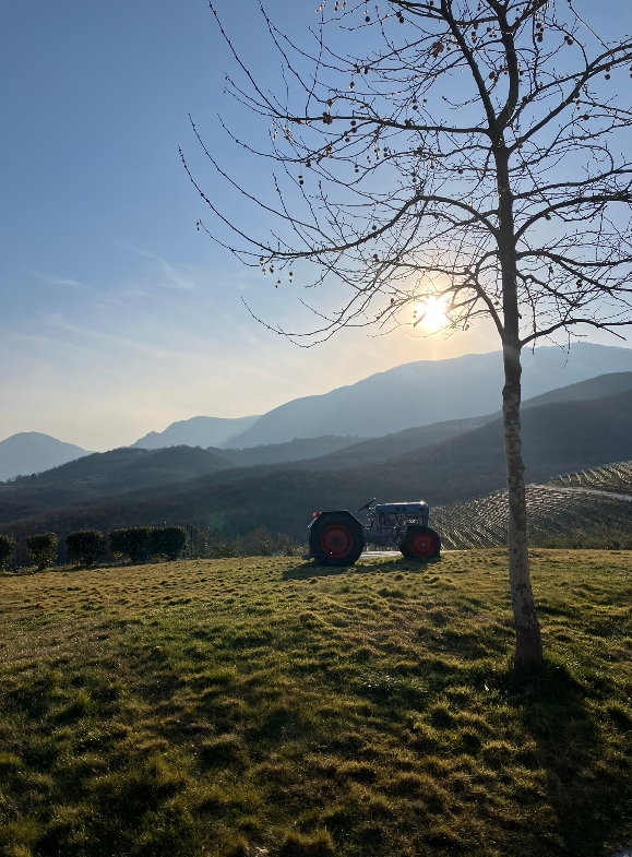 Wintery scenic view with vineyards in a winery